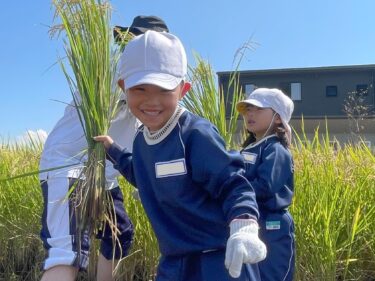 いねかり🌾