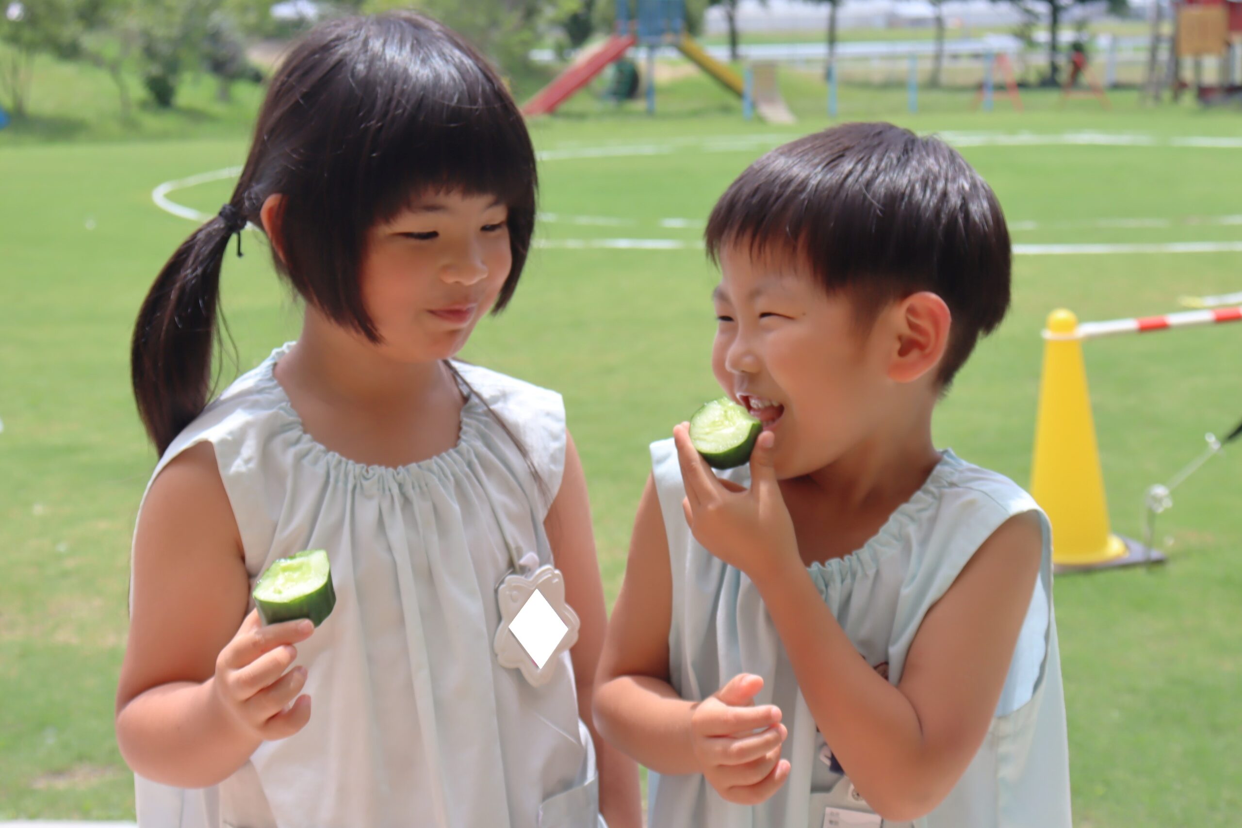 野菜をみんなで大切に育てています！