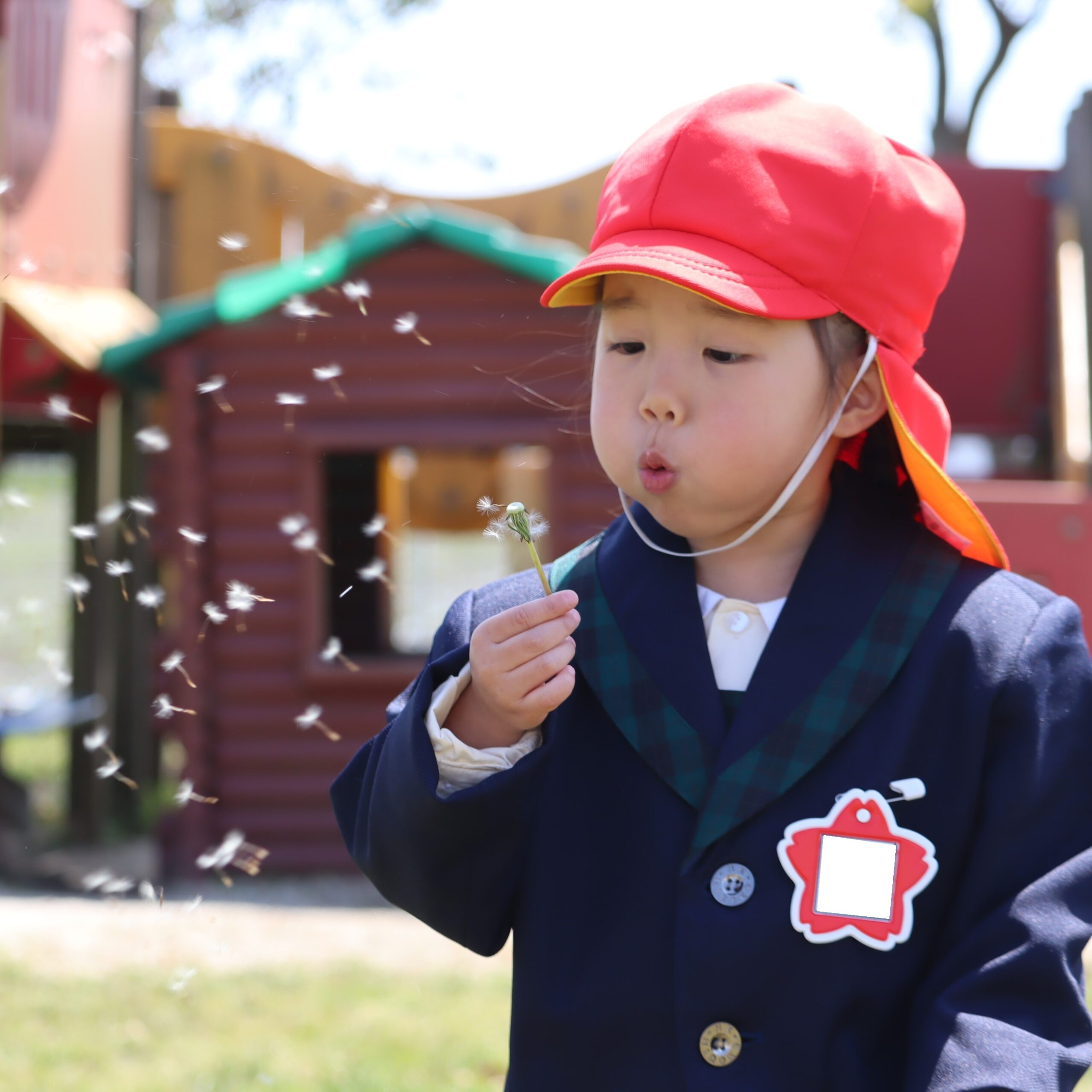 自然いっぱい！子どもがのびのび育つ環境！