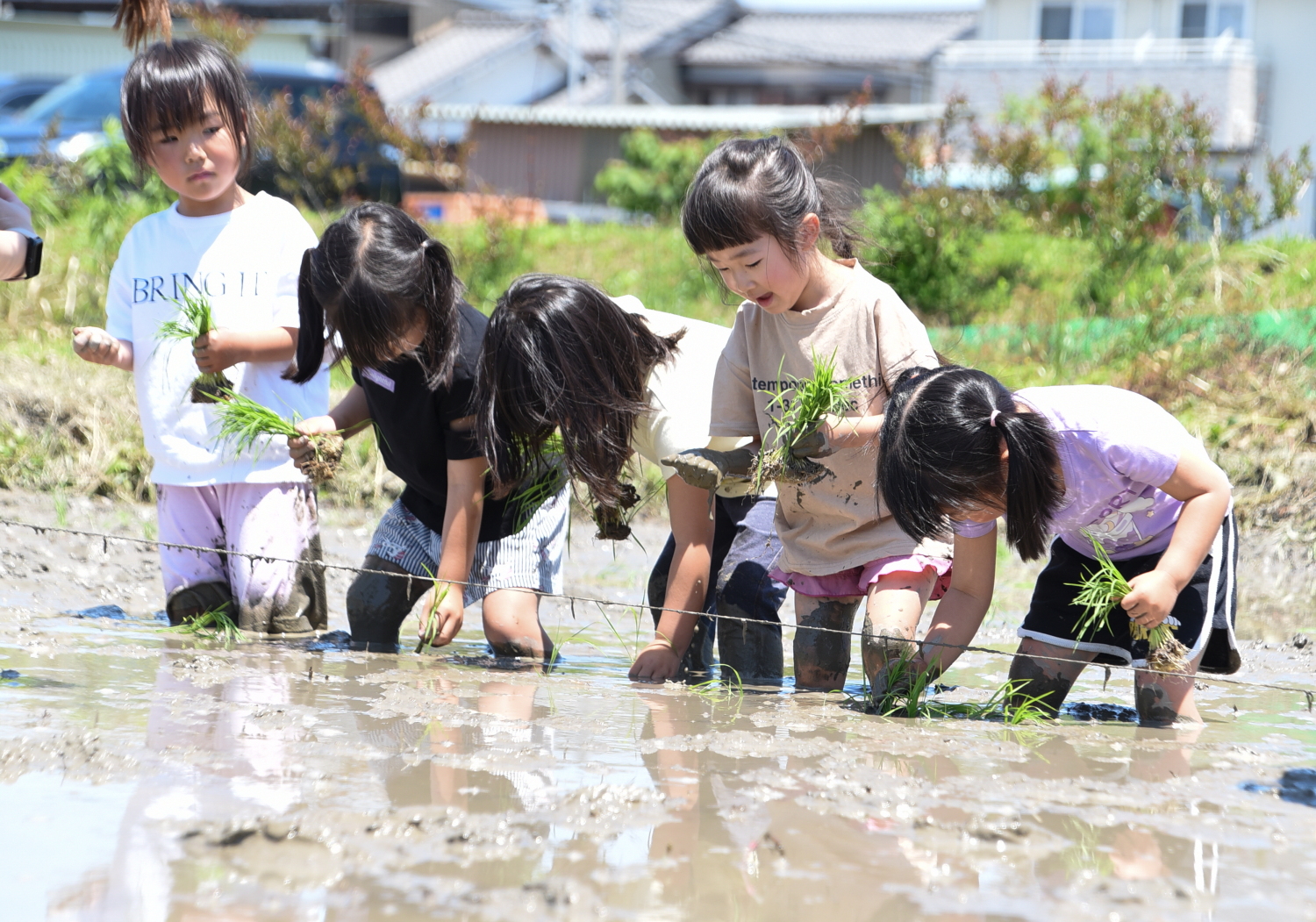 https://aoyamagakuen.com/wp-content/uploads/2022/06/yd0192d.jpg